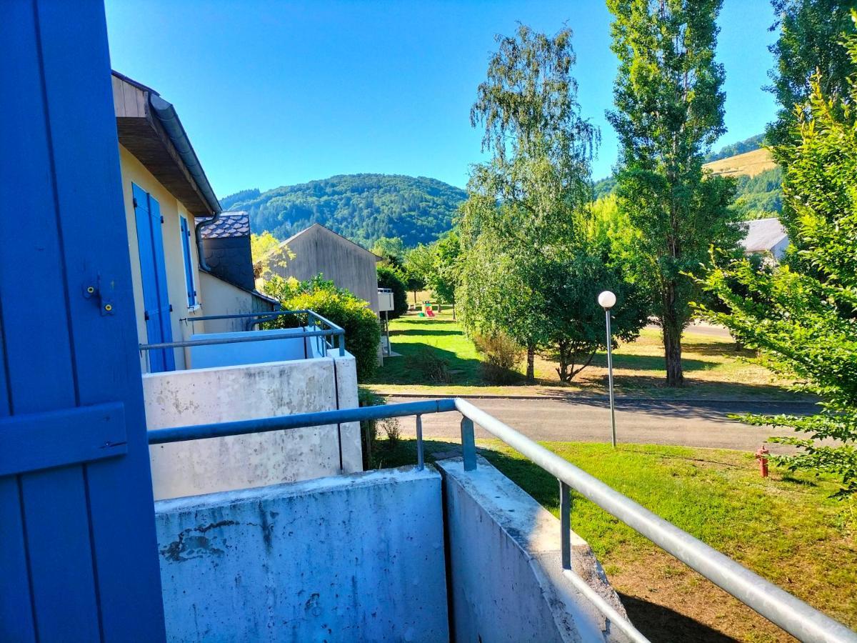 T2 Avec Piscine-Le Family 67 Apartment Pierrefiche  Екстериор снимка
