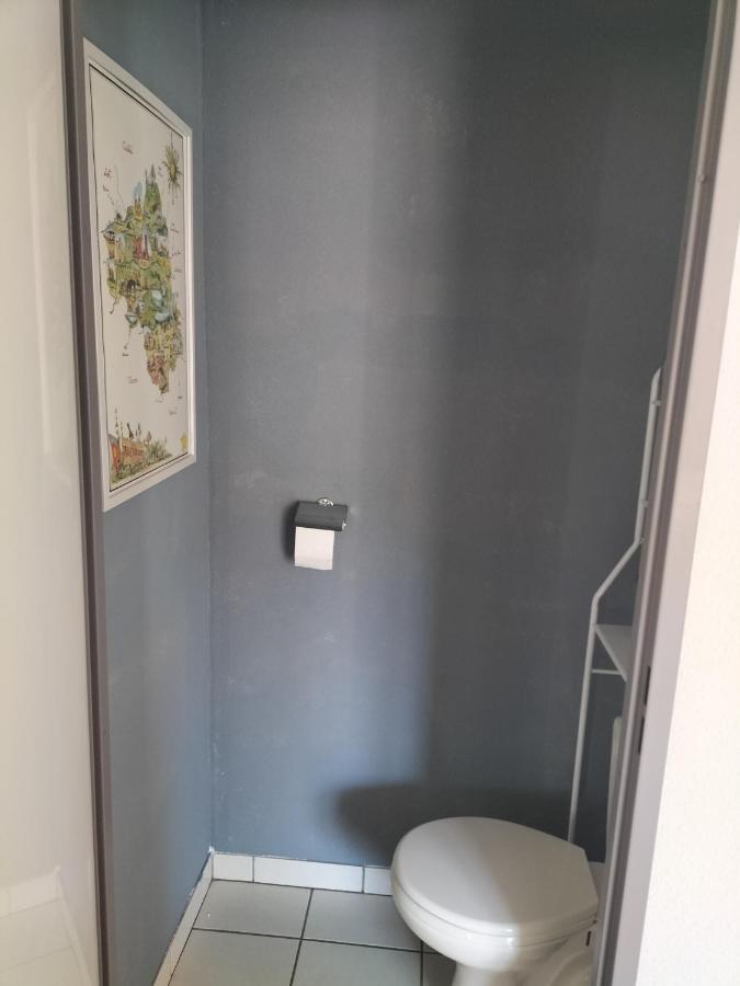 T2 Avec Piscine-Le Family 67 Apartment Pierrefiche  Екстериор снимка