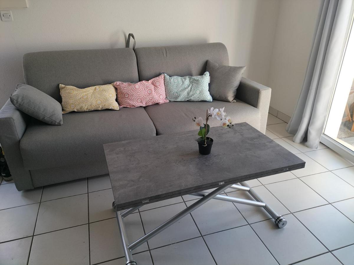 T2 Avec Piscine-Le Family 67 Apartment Pierrefiche  Екстериор снимка