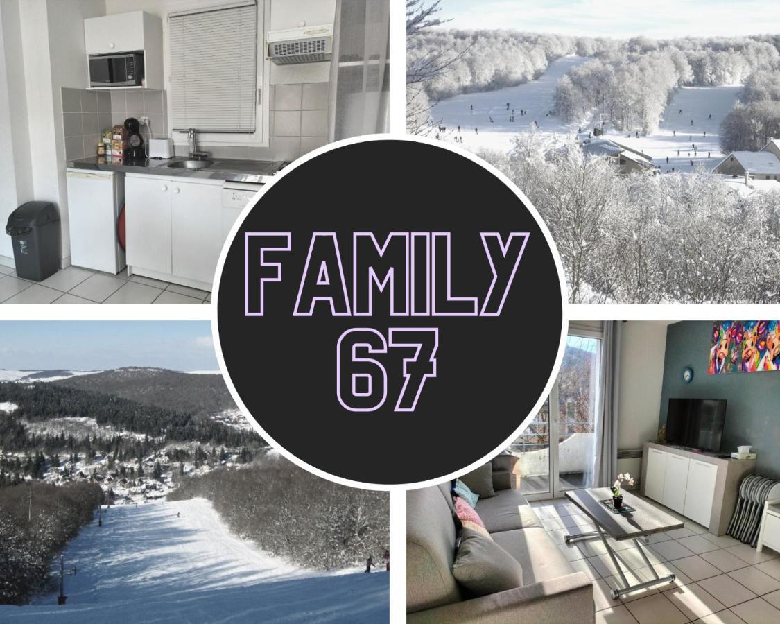 T2 Avec Piscine-Le Family 67 Apartment Pierrefiche  Екстериор снимка