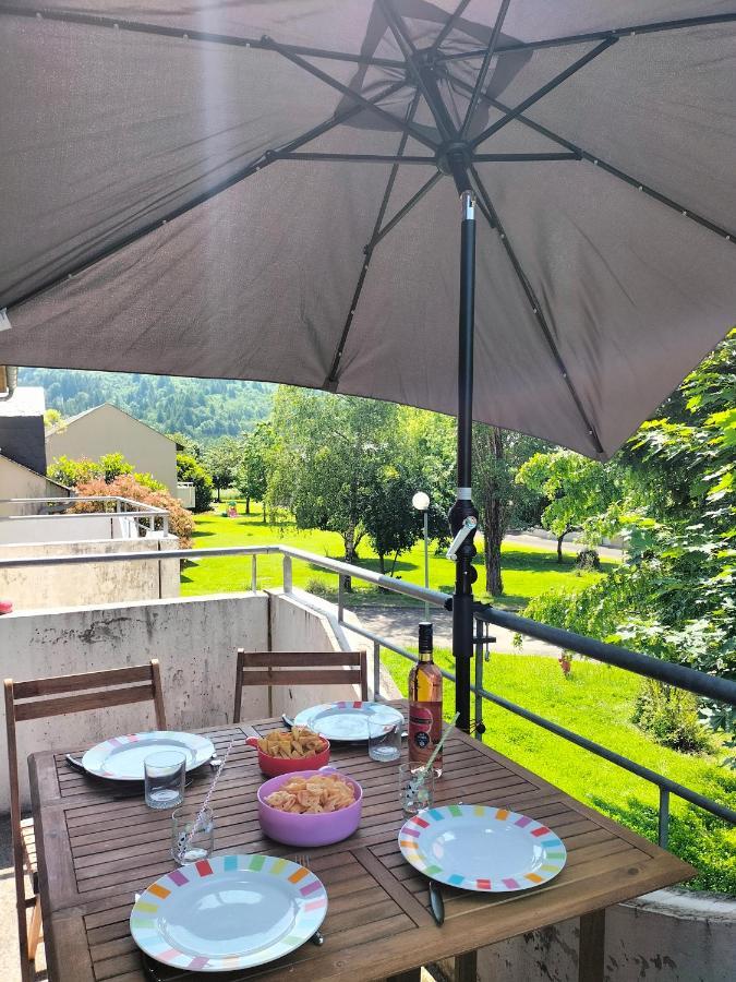 T2 Avec Piscine-Le Family 67 Apartment Pierrefiche  Екстериор снимка